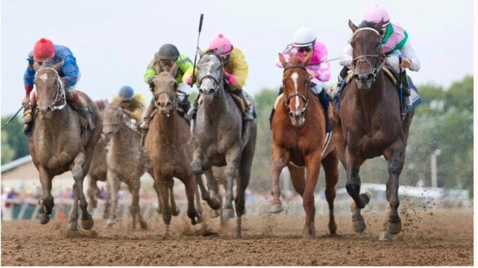 Parx Winter Racing Festival