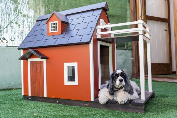 Dog Kennel Cost