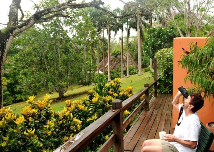 Adventures in Belize